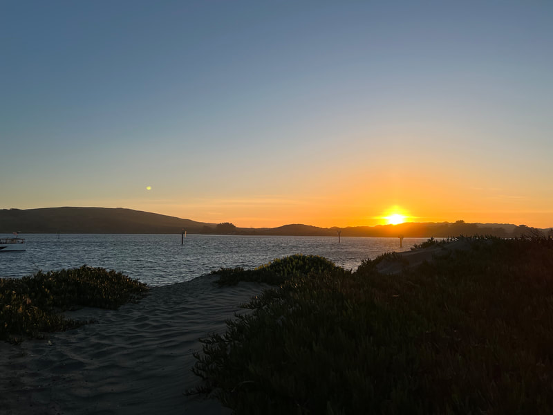 sunset over Bodega Bay
